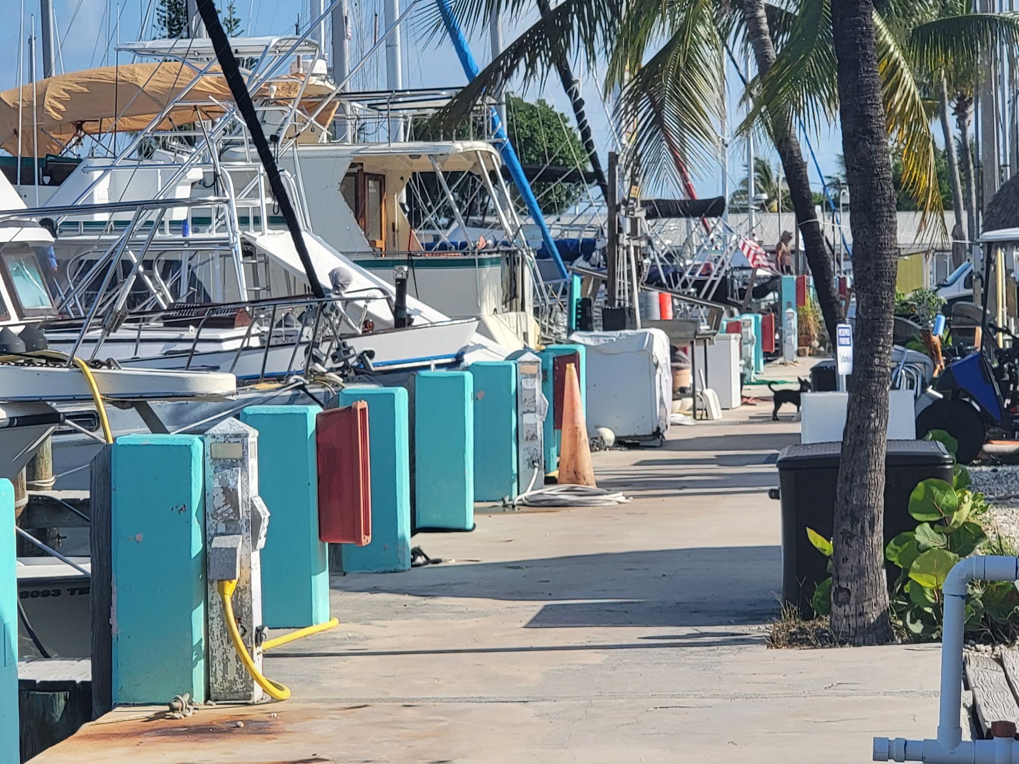 Boat slots available for rental.